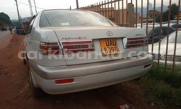 Buy Used Toyota Premio White Car in Kampala in Uganda Buy Used Toyota Premio White Car in Kampala in Uganda