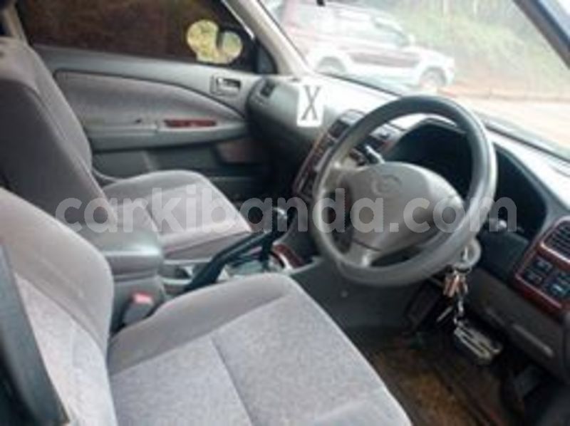 Big with watermark 66976889 435417177301660 6646563870263476224 n