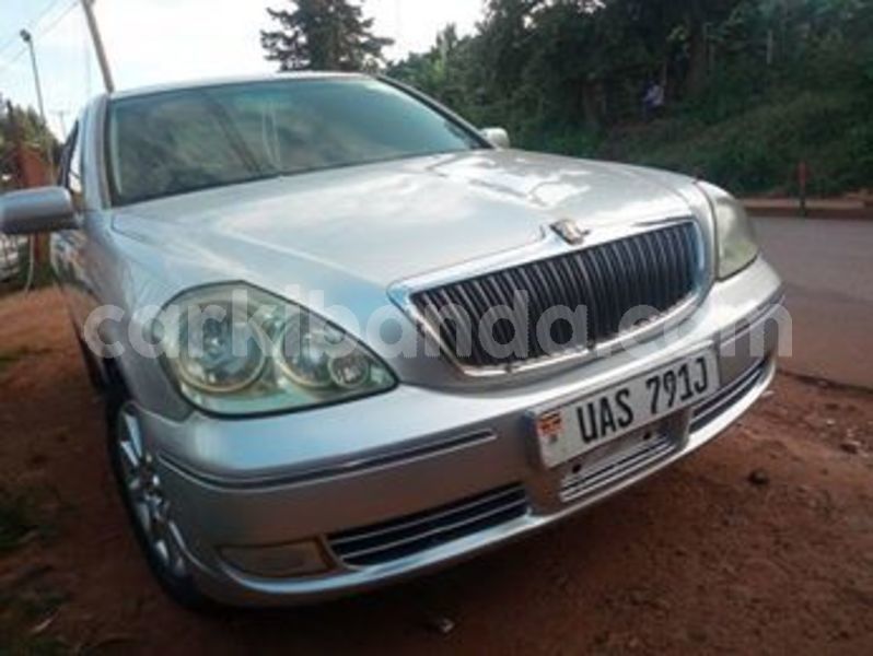 Big with watermark 66140333 432074464302598 4526741795924606976 n