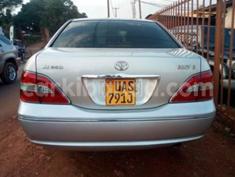 Big with watermark 66030343 432074487635929 1153565444758568960 n