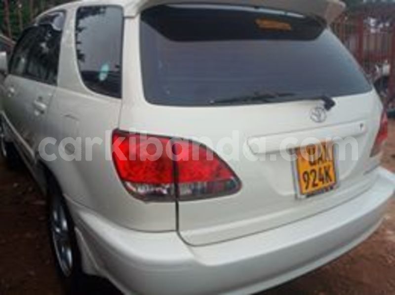 Big with watermark 61776561 411941936315851 1792331956185202688 n