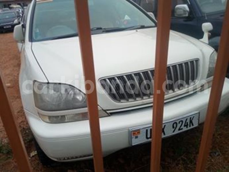 Big with watermark 62048789 411941886315856 8127649540896456704 n