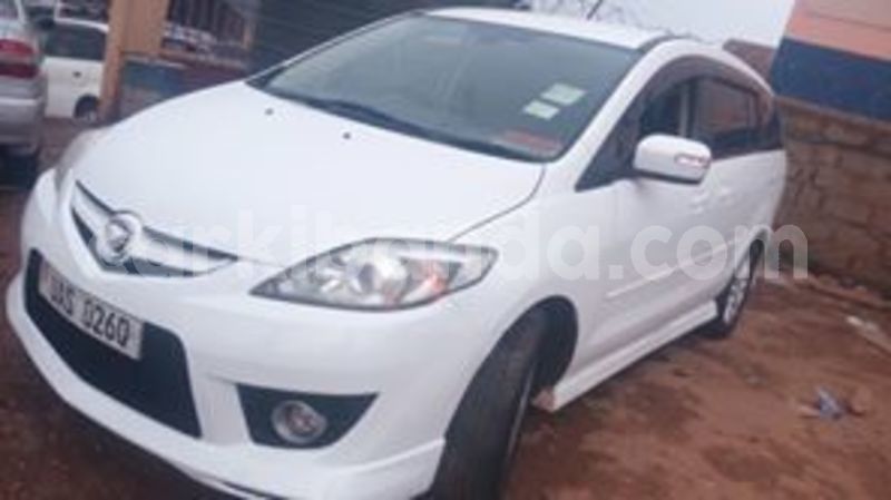 Big with watermark 67099011 141665590368705 7427510158718140416 n