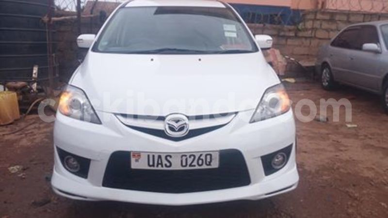 Big with watermark 67402363 141665553702042 7531031149863239680 n