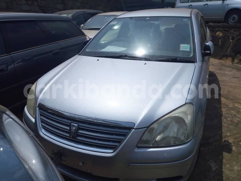 Big with watermark 67279092 141696350365629 5410568790389817344 n