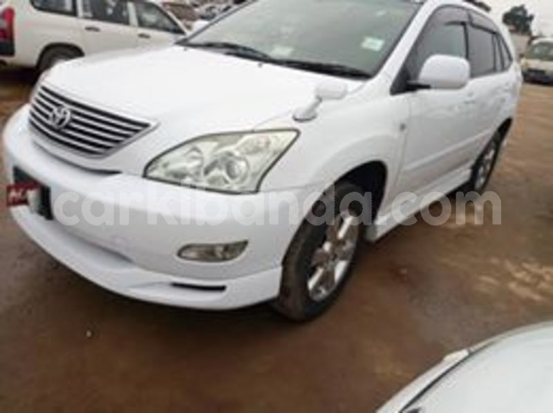 Big with watermark 67211149 141542180381046 8300037777127374848 n