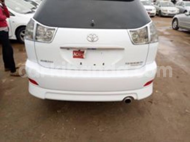 Big with watermark 67138155 141542197047711 7790298499953721344 n