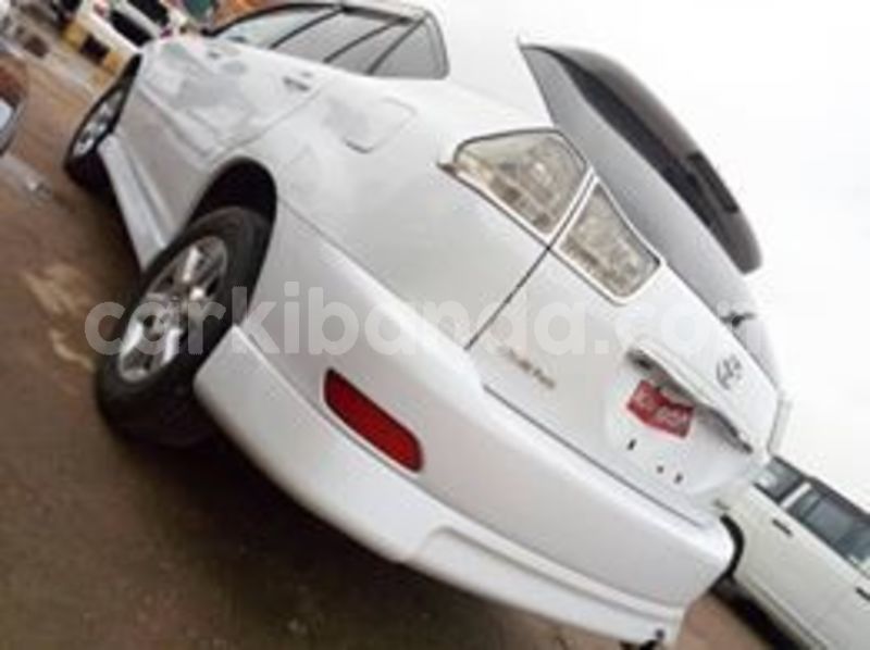 Big with watermark 67385278 141542217047709 2465749297388322816 n