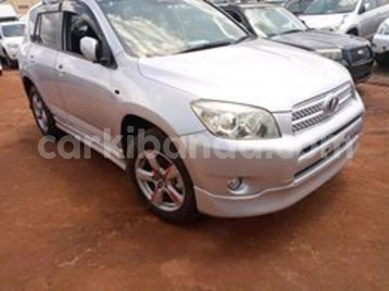 Big with watermark 67404146 141433253725272 7535582075735244800 n