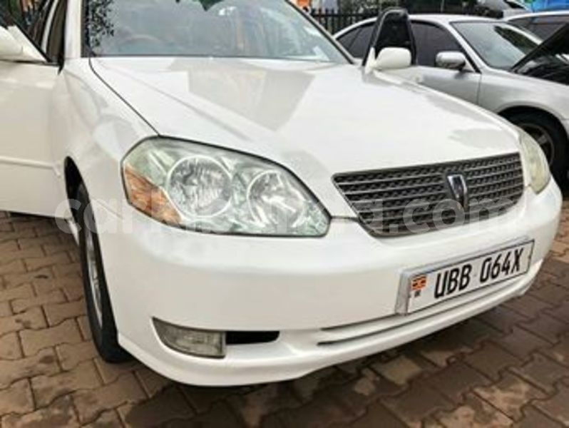 Big with watermark 67346682 141303190404945 4252863147481759744 n