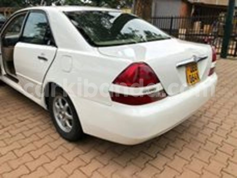 Big with watermark 67114327 141303430404921 5987870703448227840 n