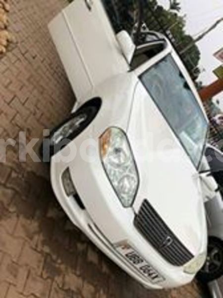 Big with watermark 67109518 141303683738229 2845120752166895616 n