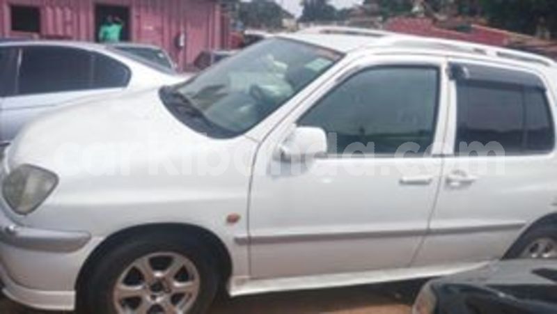 Big with watermark 67234312 141298800405384 5126938354276892672 n