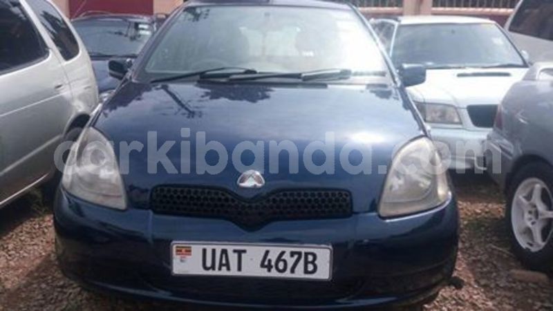 Big with watermark 67242029 141263003742297 7911100480992837632 n