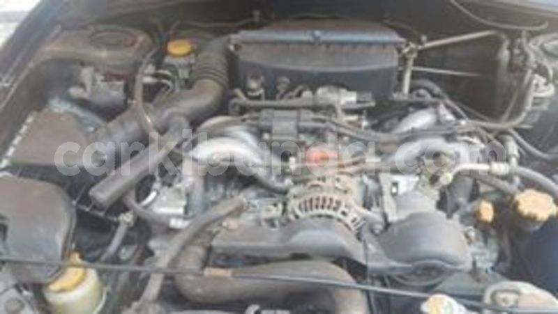 Big with watermark 67243505 141013640433900 7931759509909798912 n