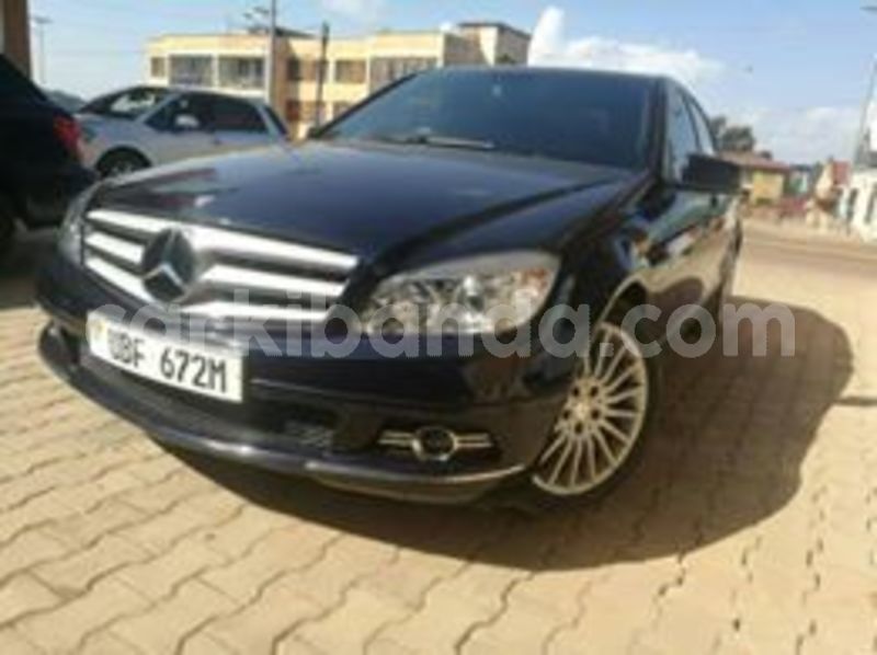 Big with watermark 67340709 140965613772036 1287487554454552576 n