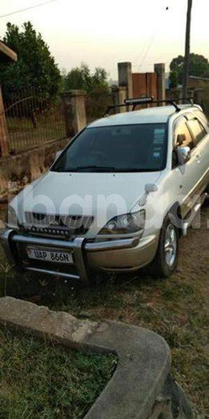 Big with watermark 67359751 140909793777618 7164328233700163584 n