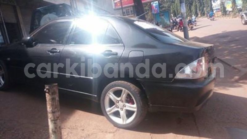 Big with watermark 67085194 140722283796369 2446211443914178560 n