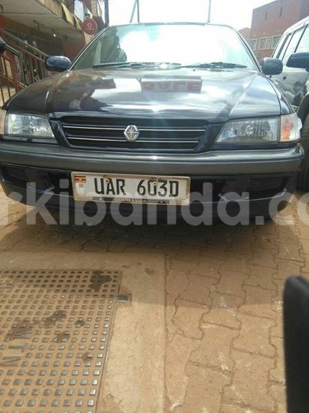 Big with watermark 14322753 152041765249206 4084601271133145777 n