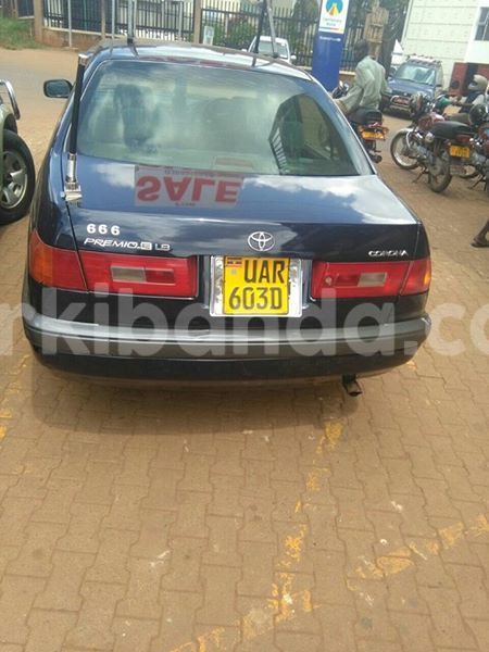 Big with watermark 14324596 10209113455147535 4826326470268354662 o