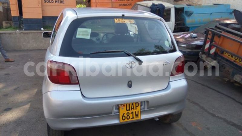 Big with watermark 14322753 152041765249206 4084601271133145777 n