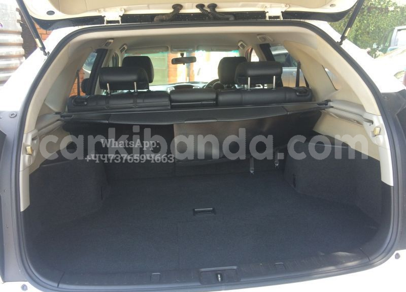 Big with watermark cart1 4