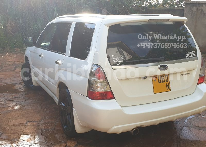 Big with watermark 3