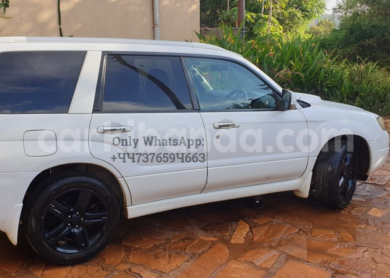 Big with watermark 4