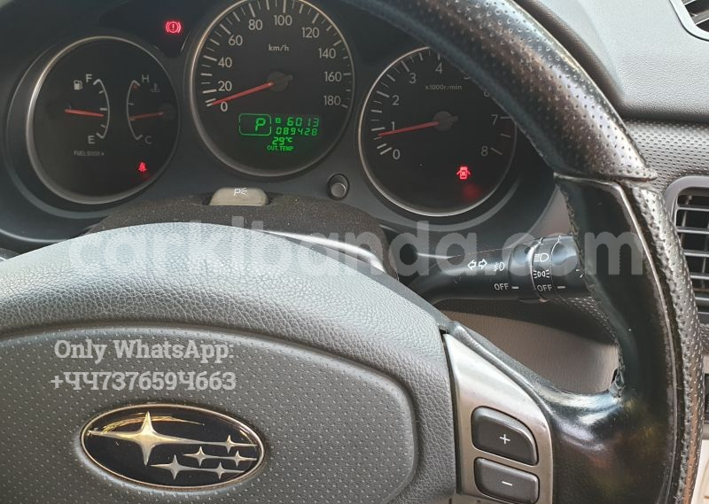 Big with watermark 6