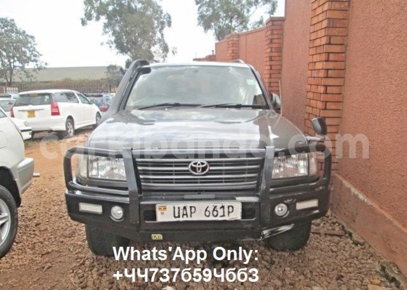 Big with watermark ccs