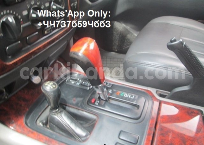 Big with watermark dfa10