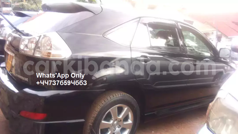 Big with watermark harri3