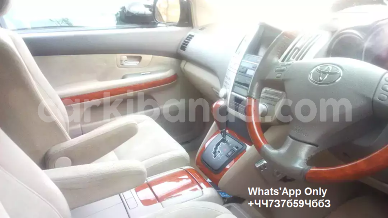 Big with watermark harri7