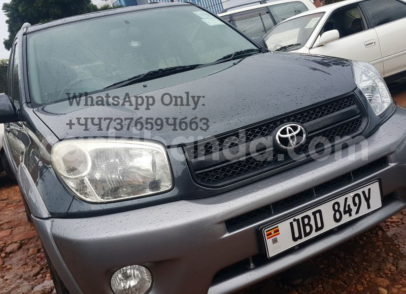 Big with watermark 1