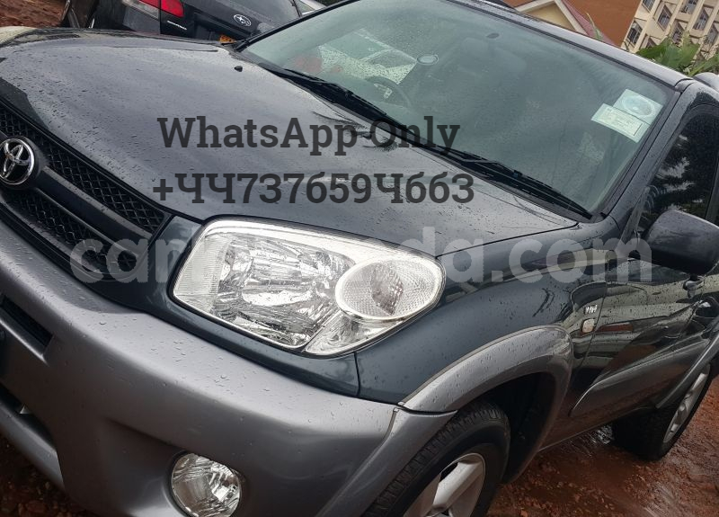 Big with watermark 3