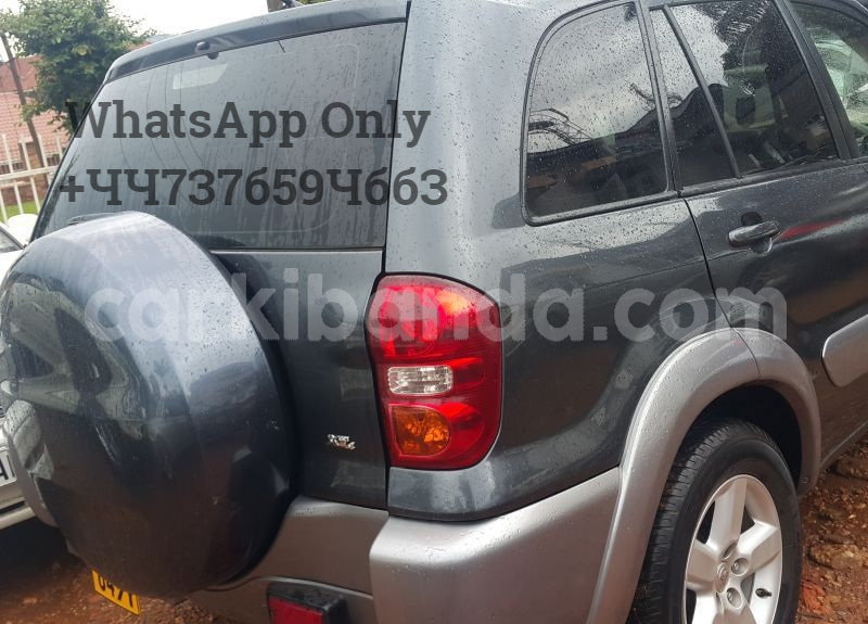 Big with watermark 4