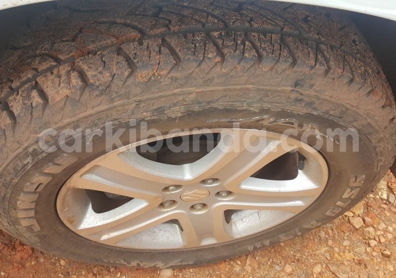 Big with watermark eskos8