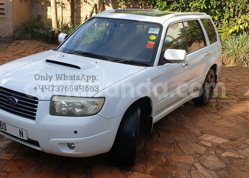 Big with watermark 2