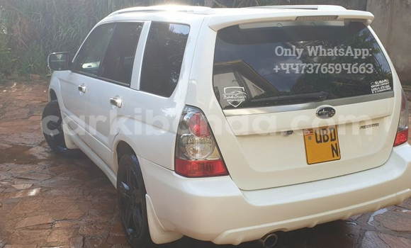 Acheter Occasion Voiture Subaru Forester Blanc à Kampala, Ouganda Acheter Occasion Voiture Subaru Forester Blanc à Kampala, Ouganda