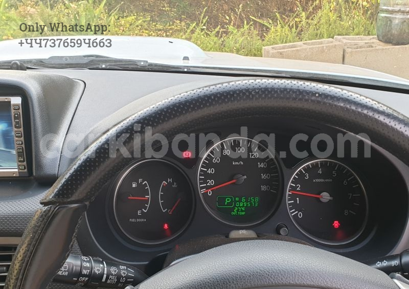 Big with watermark 5