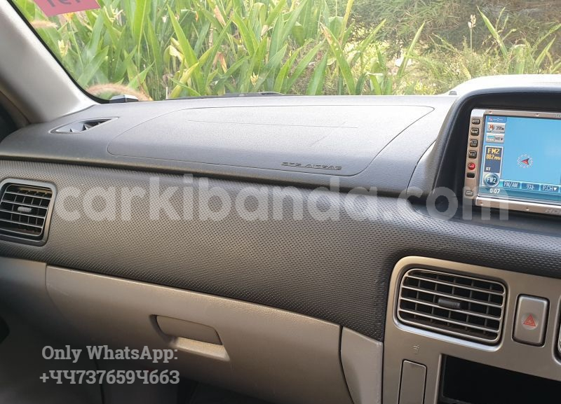 Big with watermark 7