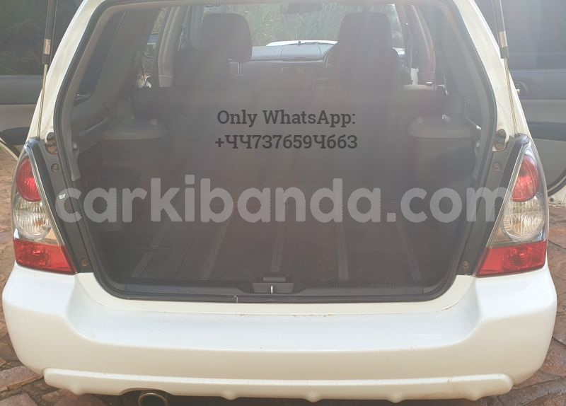 Big with watermark 8