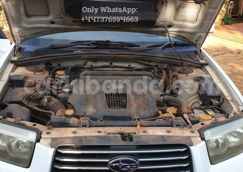 Big with watermark 9