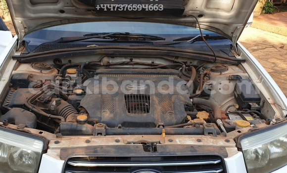 Acheter Occasion Voiture Subaru Forester Blanc à Kampala, Ouganda Acheter Occasion Voiture Subaru Forester Blanc à Kampala, Ouganda