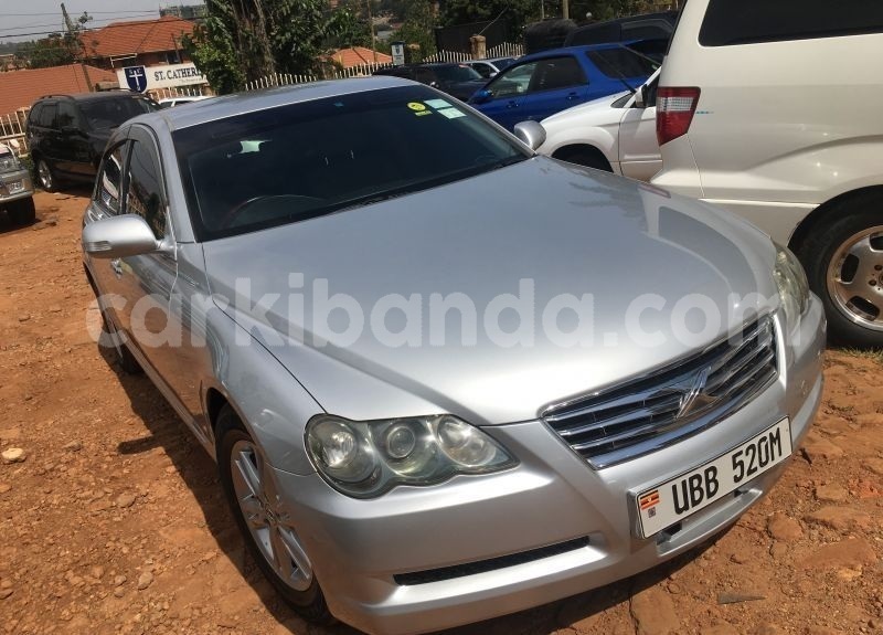 Big with watermark astyr1