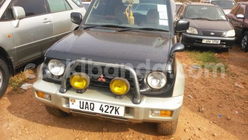 Big with watermark 14324596 10209113455147535 4826326470268354662 o