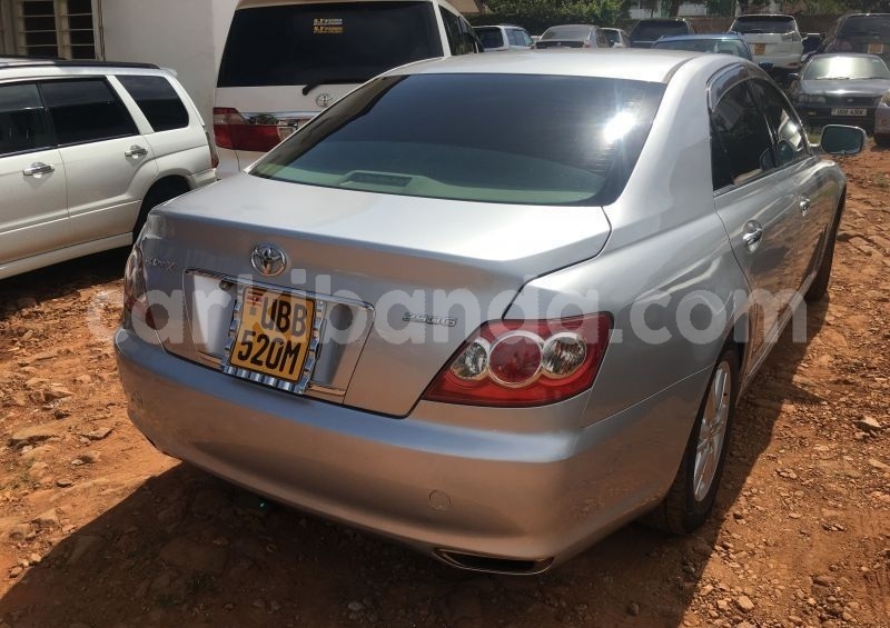 Big with watermark astyr3