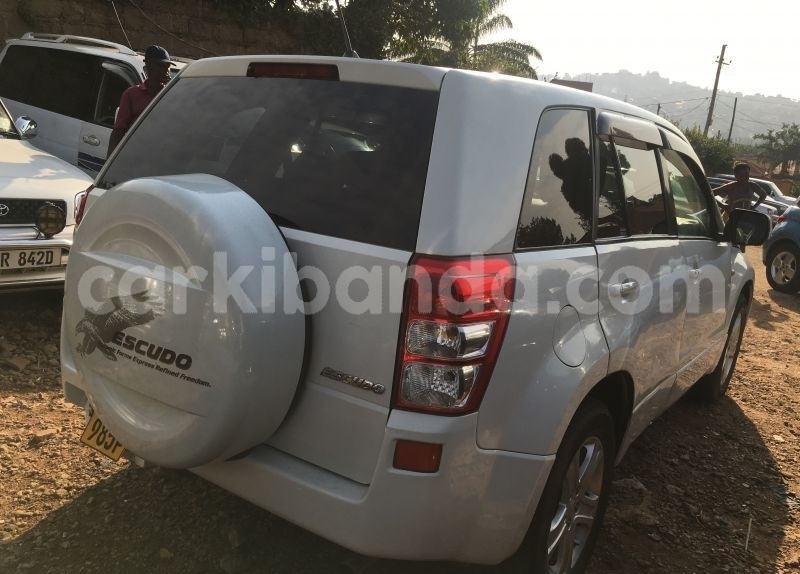 Big with watermark acvb7