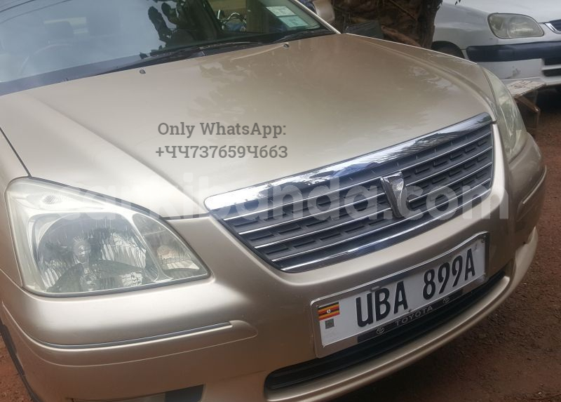 Big with watermark 1