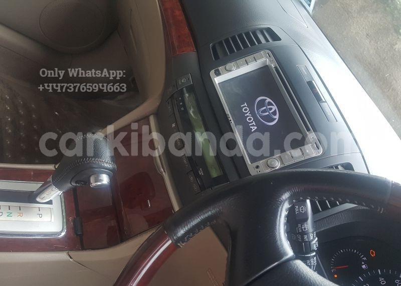 Big with watermark 7